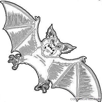 bats 2 coloring
