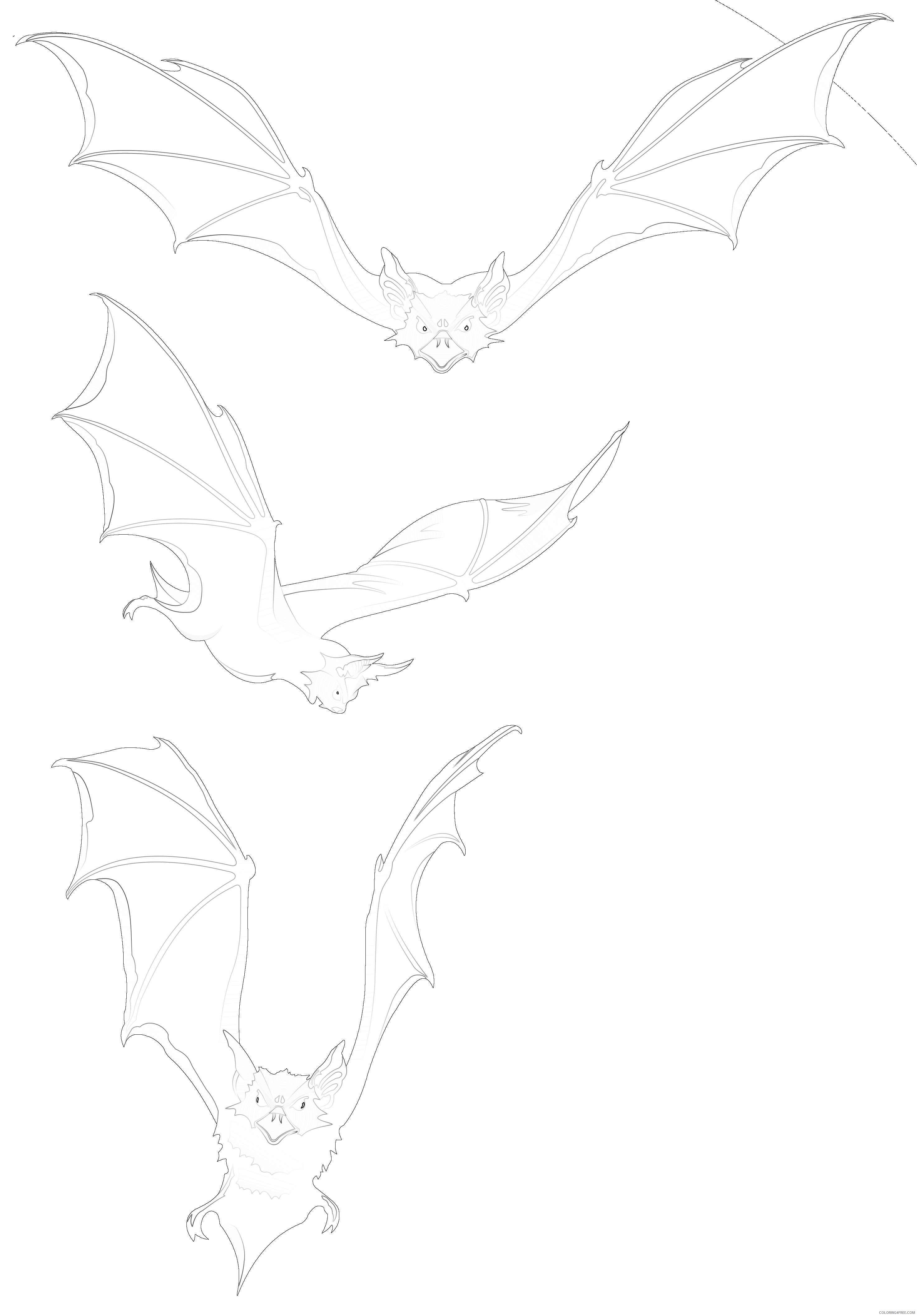 bats co tPXNdC coloring