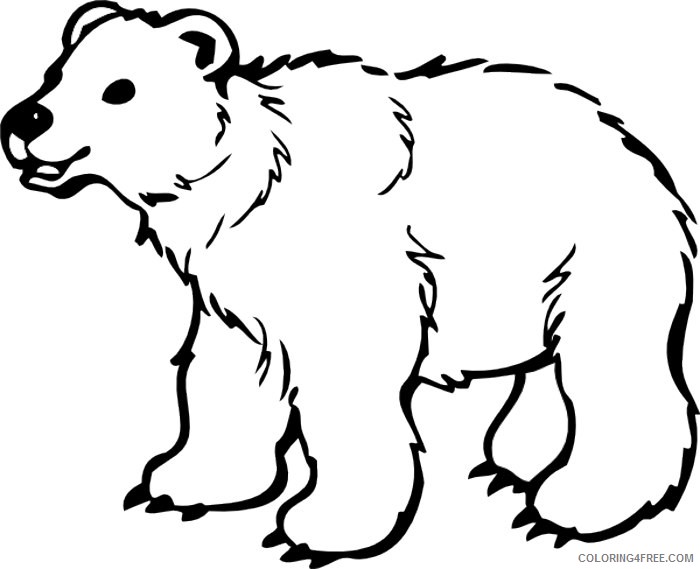 bear black and white that you can download to m7rPhp coloring