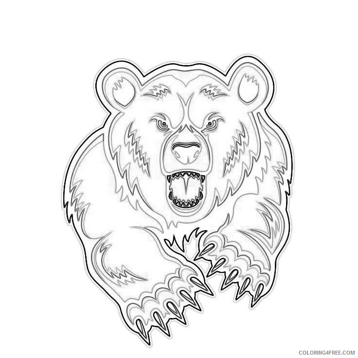 bear mascot bears grizzly coloring