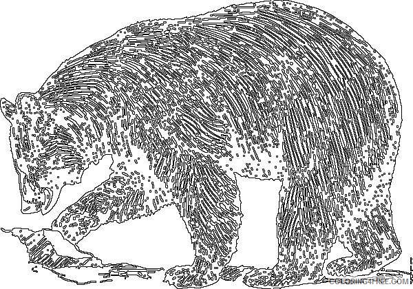 black bear online 95iJ1y coloring
