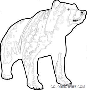 brown bear online tdBkv8 coloring