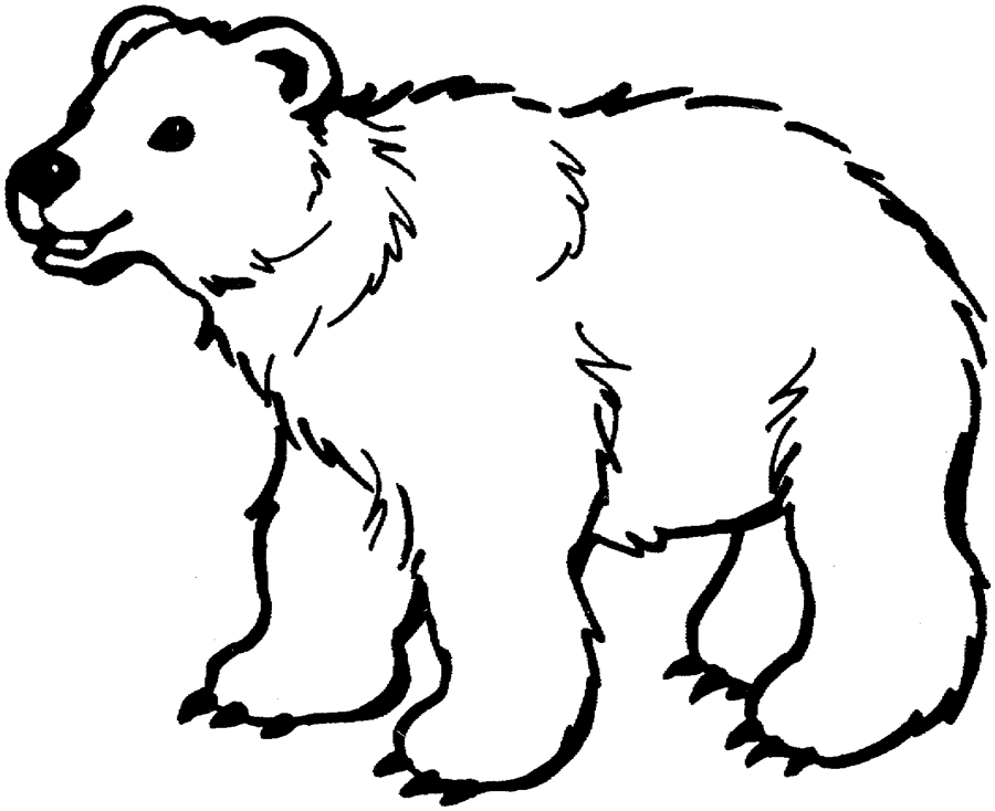 coloring page polar bear printable downloads from choretell 00SiAi coloring