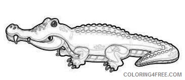 crocodile alligator 2cow coloring