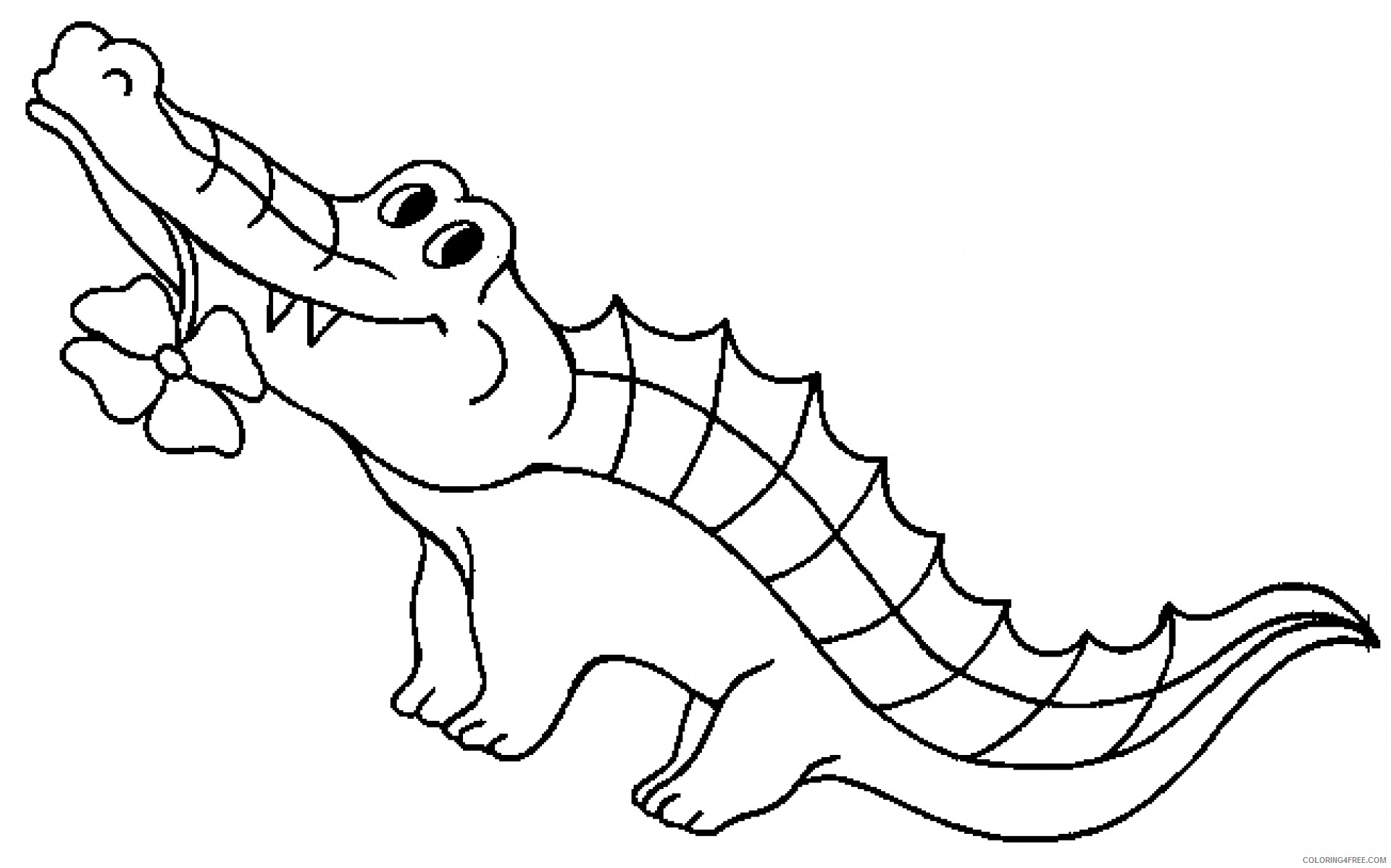 cute alligator black and white white alligator ozXF2F coloring