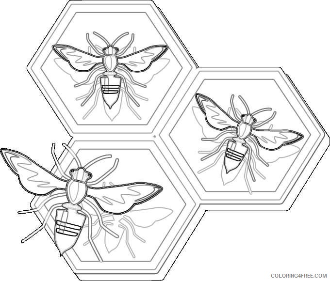 download bee of honey honeycomb a bee more GnQP0K coloring