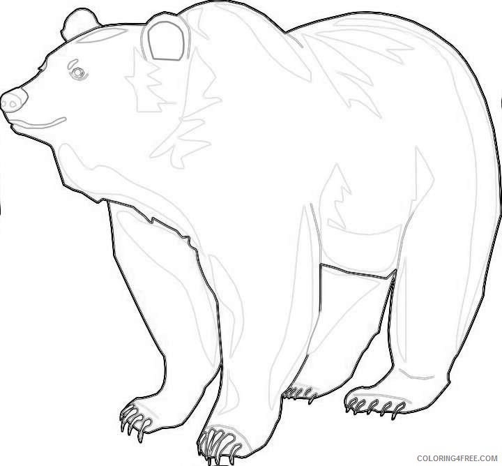 grizzly bear zJBVuu coloring
