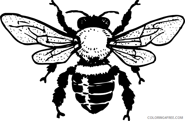 honey bee online RFGxLT coloring