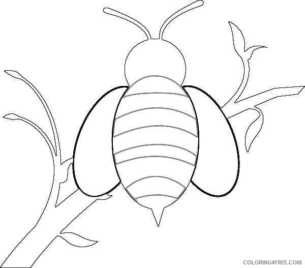 honey bee over branch online c3mGCS coloring