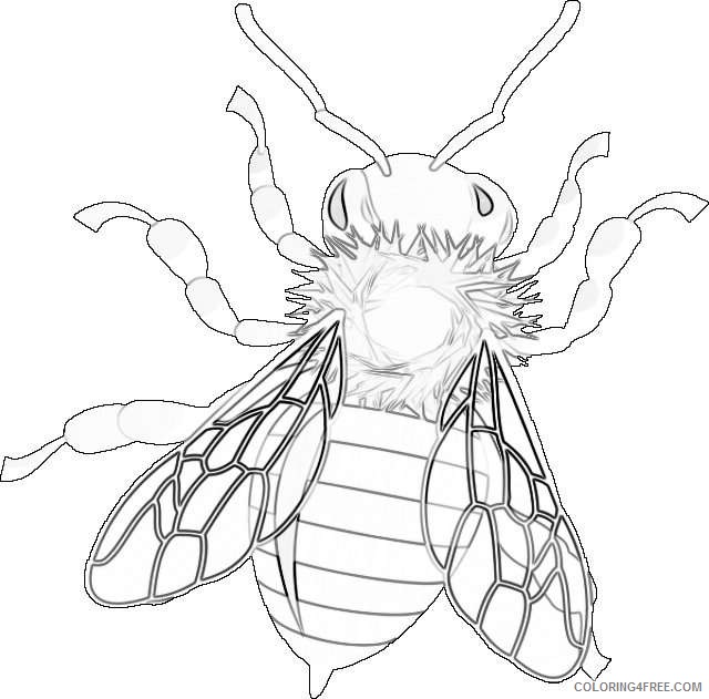 honey bee pictures becuo yfJmbT coloring