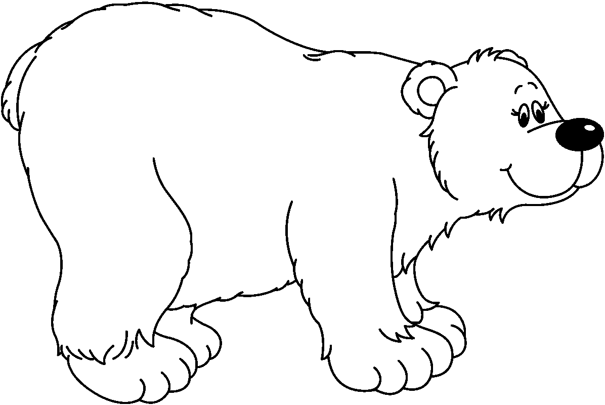 polar bear bear pictures graphics coloring