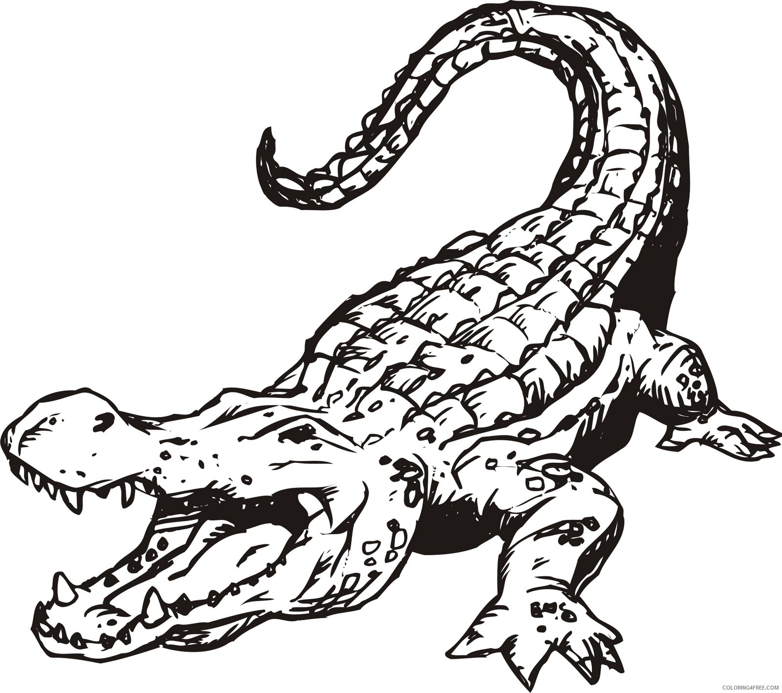 printable alligator coloring pages for kids gx9xgH coloring