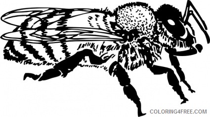 queen bee black and white honey bee black YJA3e2 coloring