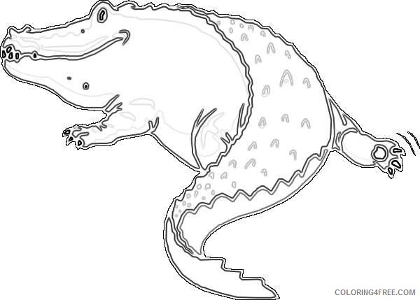 rear view of alligator online Cs4APC coloring