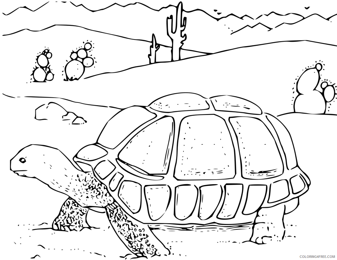 Animal Coloring Pages Coloring Pages Desert Animal Book Printable Coloring4free Coloring4free Com