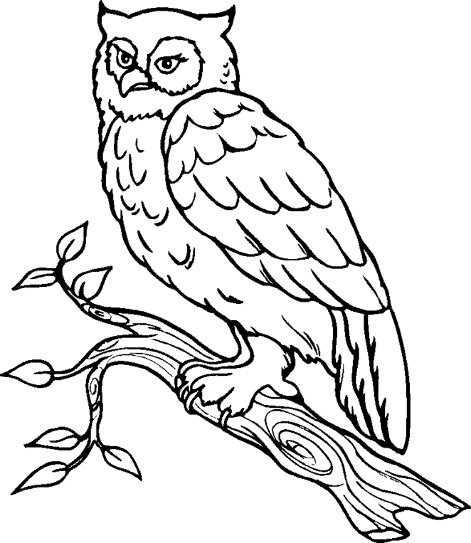 Animal Coloring Pages Coloring Pages printable animals DgXlXg Printable Coloring4free