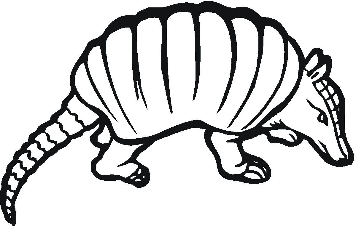 Armadillo Coloring Pages armadillo co Printable Coloring4free