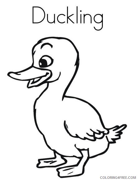 Baby Duck Coloring Pages duckling JPG Printable Coloring4free