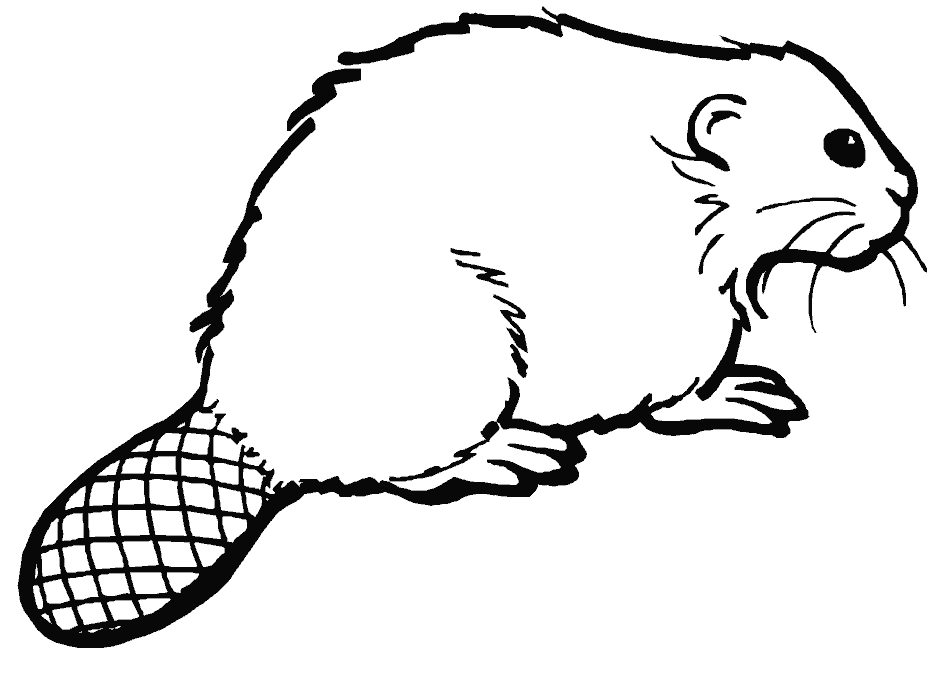 Beaver Coloring Pages beaver 1 gif Printable Coloring4free