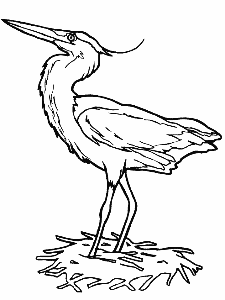 Bird Coloring Pages bird 27 gif Printable Coloring4free