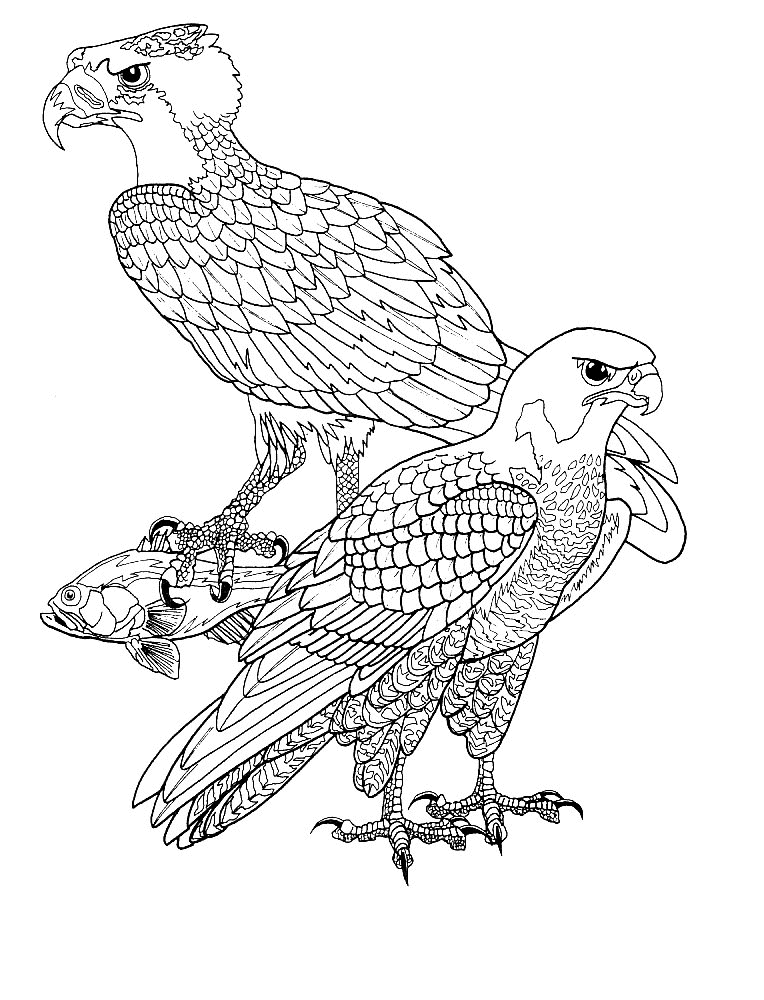 Bird Coloring Pages bird 29 gif Printable Coloring4free