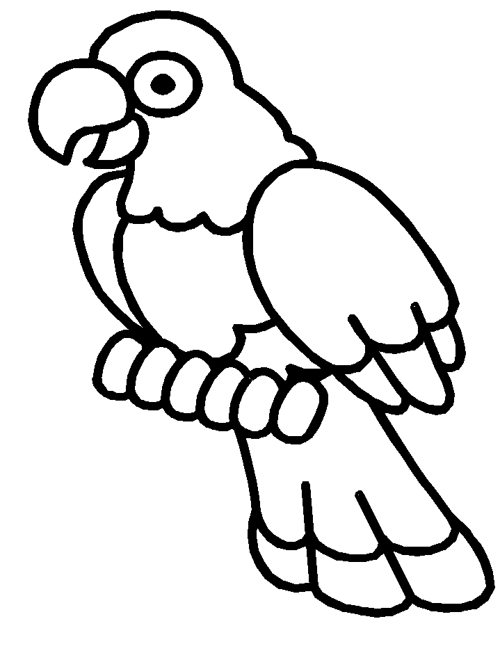 Bird Feather Coloring Pages letter f activity decorate this Printable Coloring4free