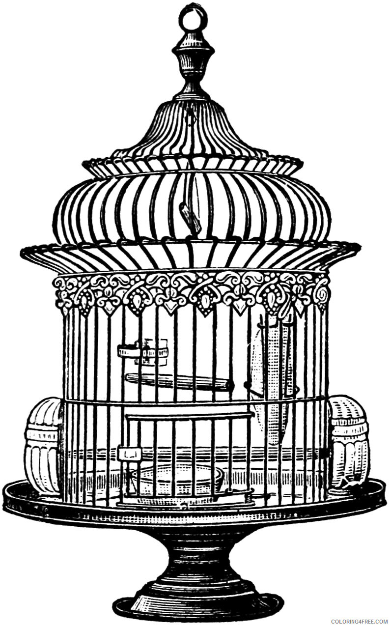 Birdcage Coloring Pages vintage bird cage 1 Printable Coloring4free
