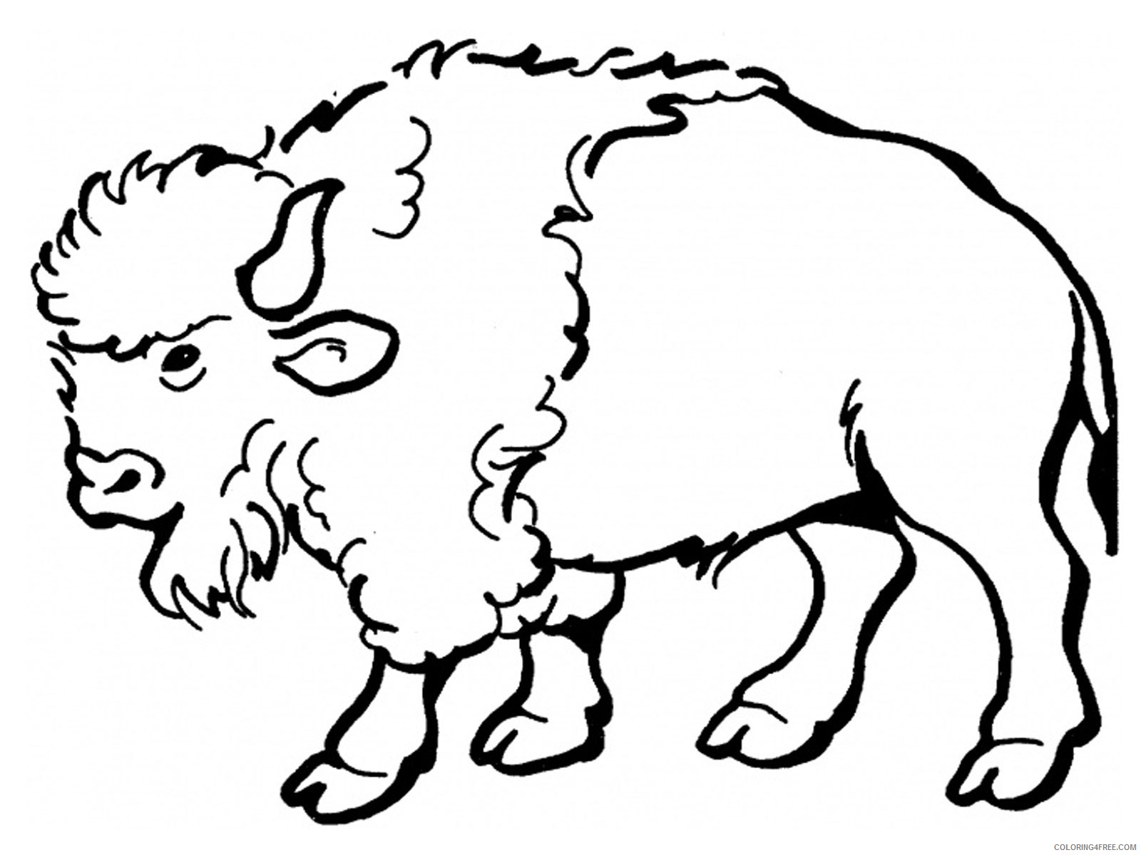 Bison Coloring Pages bison cartoon best AWwwSg Printable Coloring4free