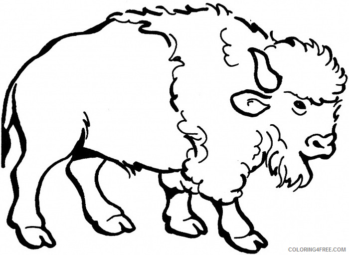 Bison Coloring Pages nice american bison page Printable Coloring4free