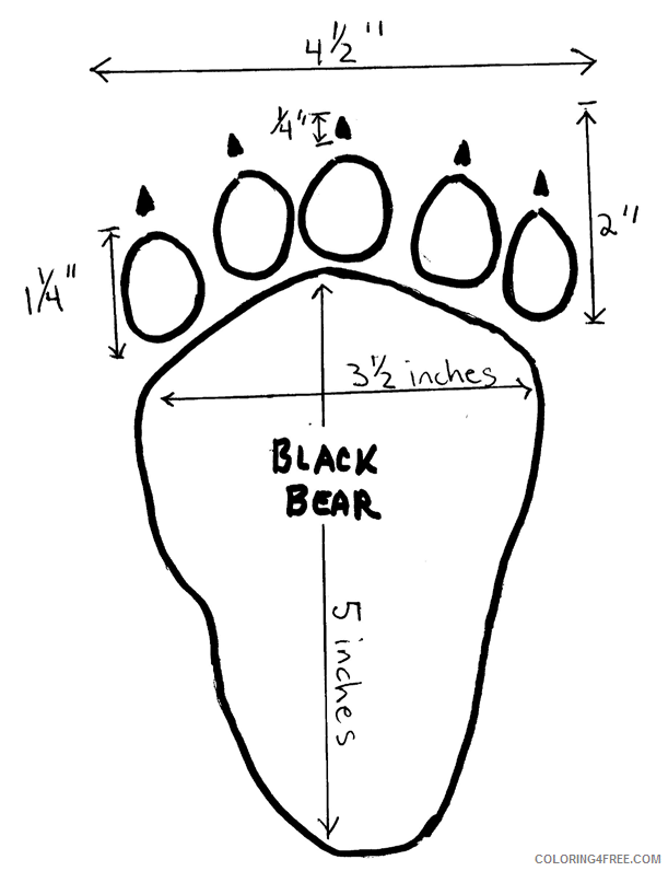 Black Bear Coloring Pages terms black Printable Coloring4free