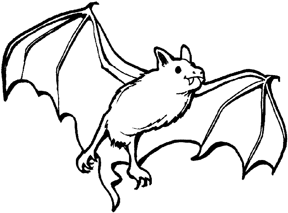 Black and White Bats Coloring Pages bats flying to Printable Coloring4free