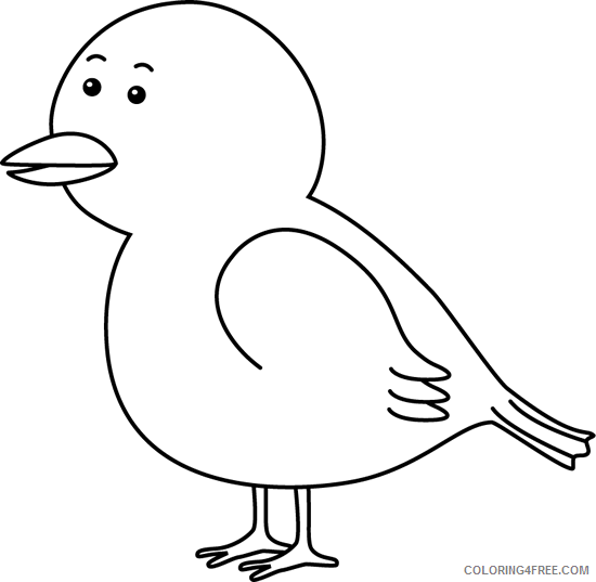 Black and White Bird Coloring Pages birds Printable Coloring4free