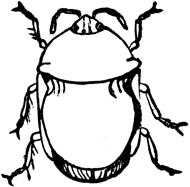 Black and White Bug Coloring Pages black bug etc wCWKXy Printable Coloring4free