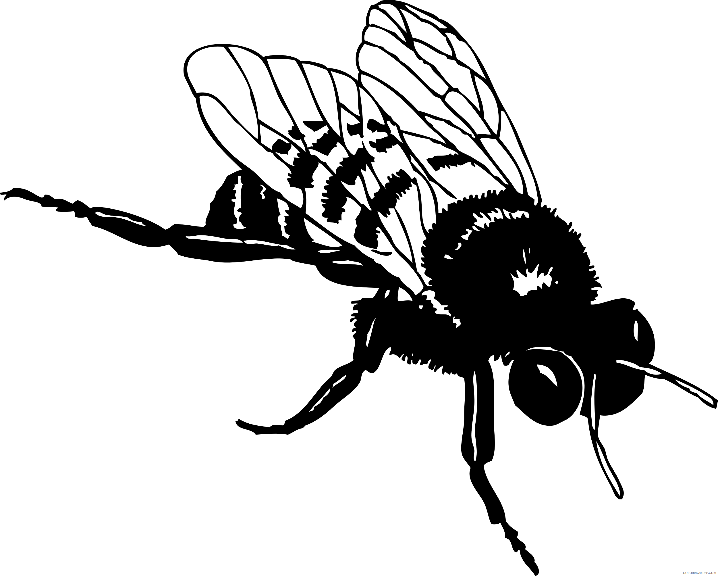 Black and White Bumble Bee Coloring Pages bumble bee b001 png Printable Coloring4free