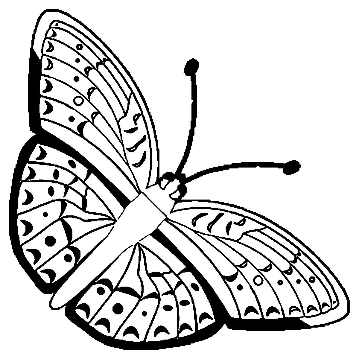 Black and White Butterfly Coloring Pages butterfly 28 gif Printable Coloring4free
