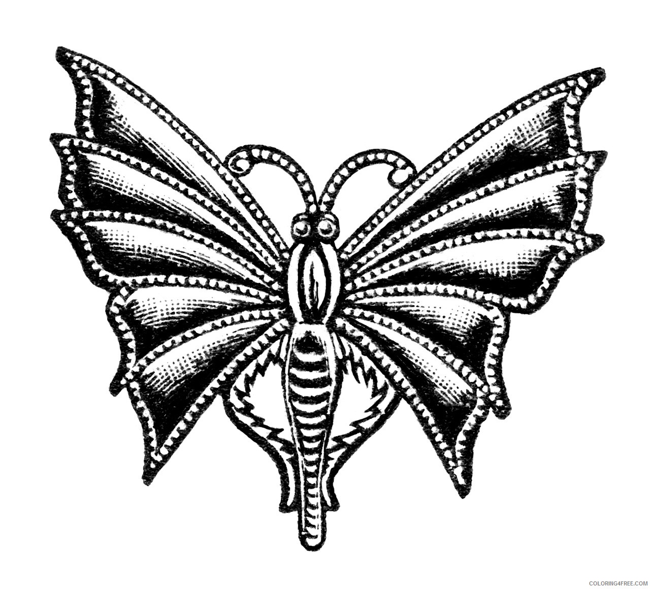 Black and White Butterfly Coloring Pages butterfly Printable Coloring4free