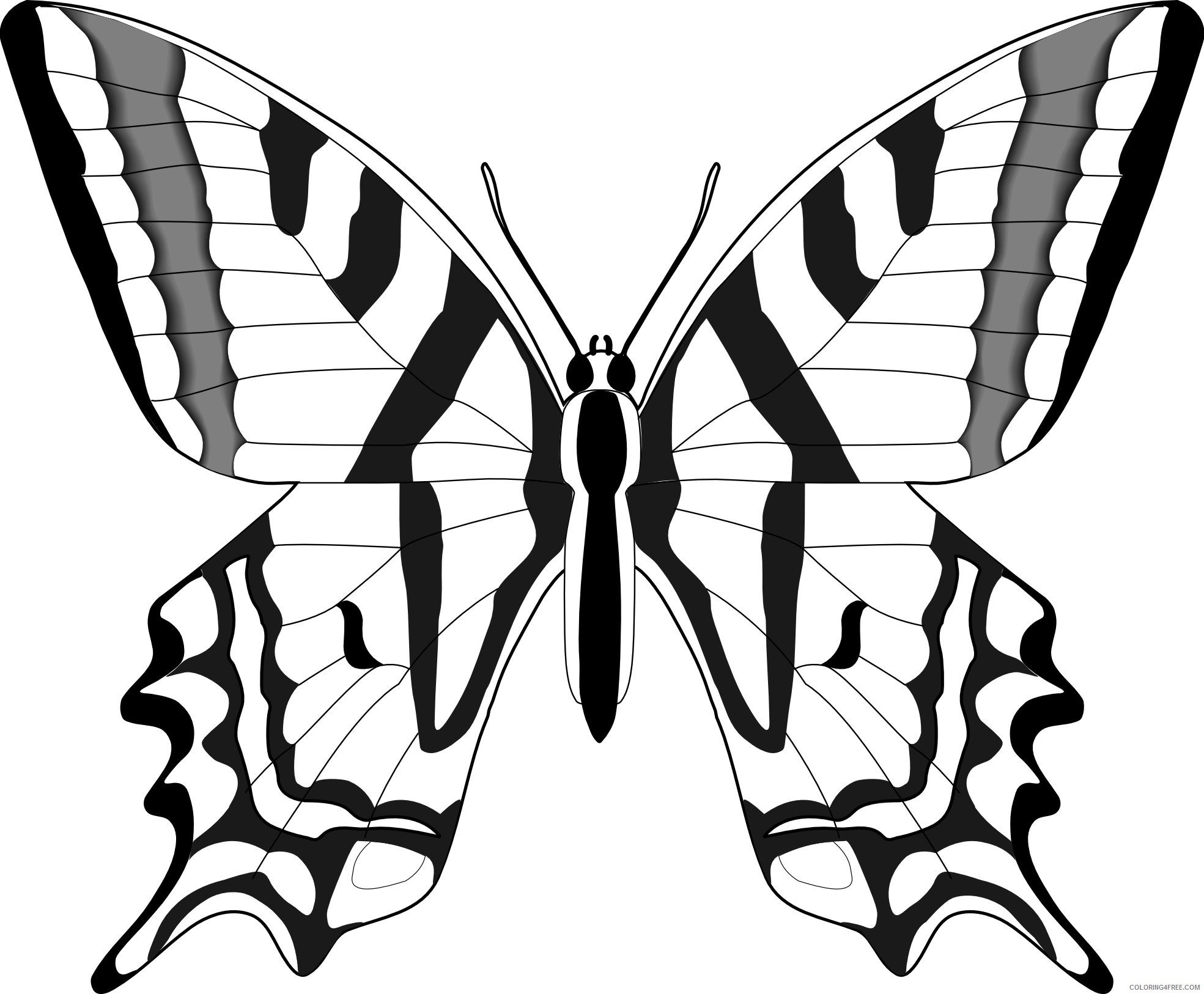 Black and White Butterfly Coloring Pages butterfly Printable Coloring4free