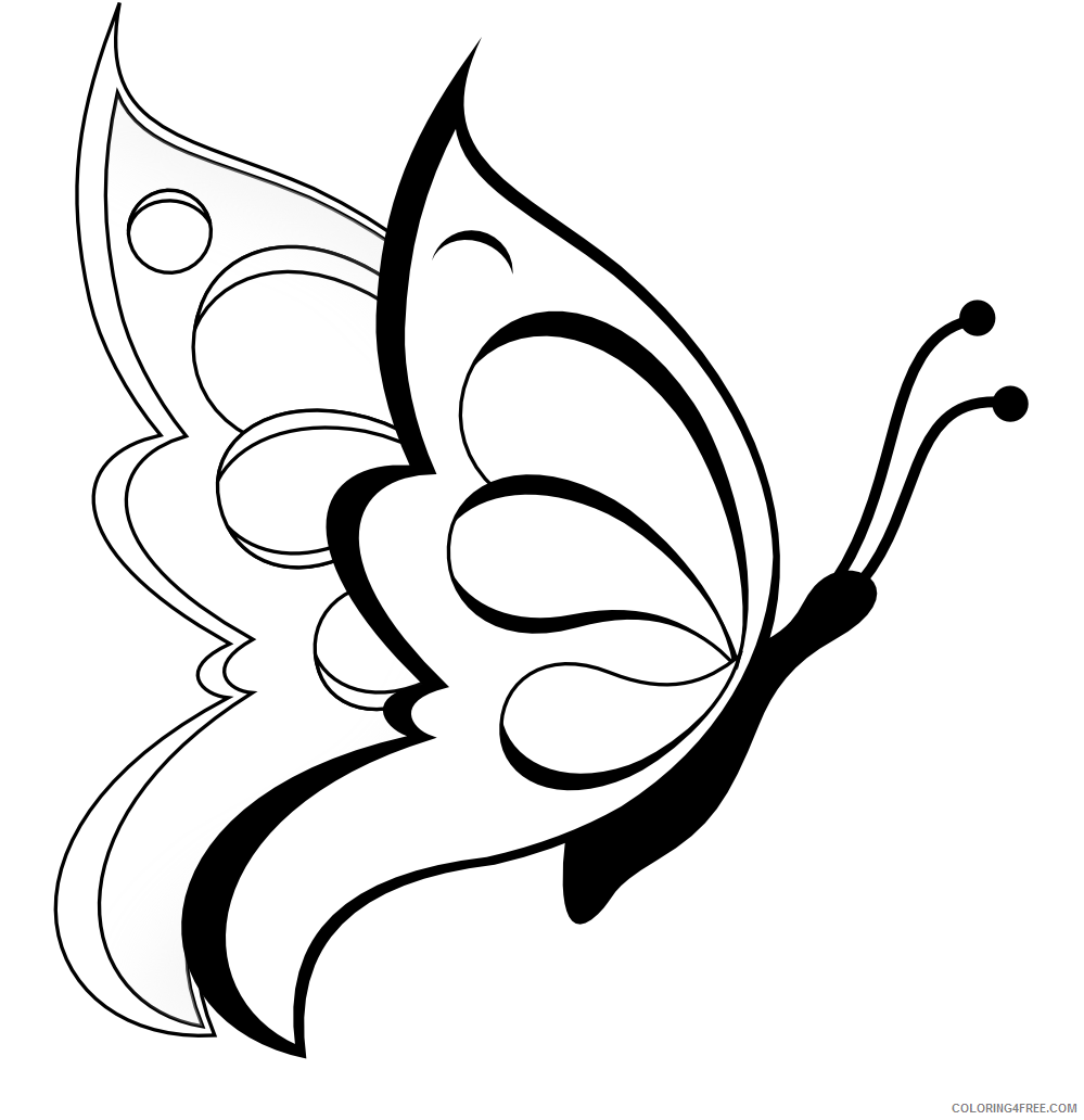 Black and White Butterfly Coloring Pages butterfly black and Printable Coloring4free