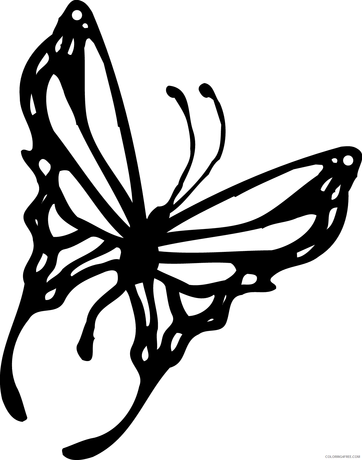 Black and White Butterfly Coloring Pages butterfly clip Printable Coloring4free