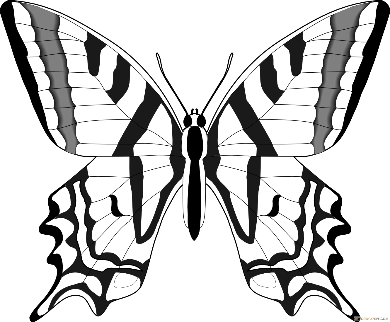 Black and White Butterfly Coloring Pages butterfly free christian images Printable Coloring4free