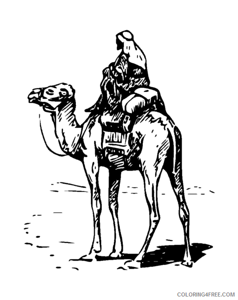 Black and White Camel Coloring Pages Camel with Rider 2 png Printable Coloring4free
