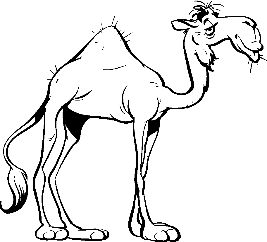 Black and White Camel Coloring Pages camel 20clip 20art camel 2 Printable Coloring4free