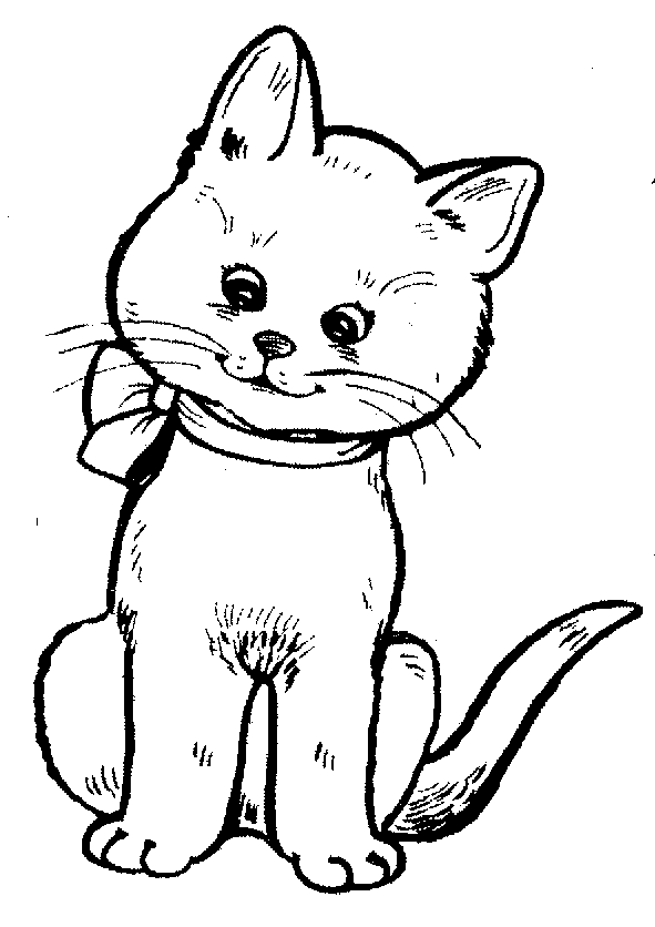 Black and White Cat Coloring Pages cat cat PErBb2 Printable Coloring4free