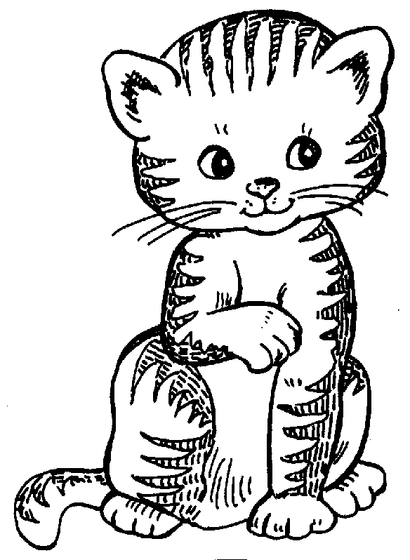 Black and White Cat Coloring Pages cat cat clip art Printable Coloring4free