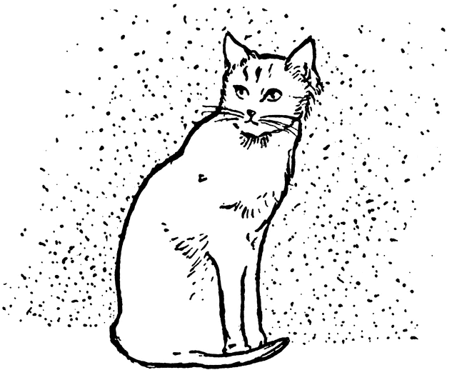 Black and White Cat Coloring Pages cat etc o2AgeP clipart Printable Coloring4free