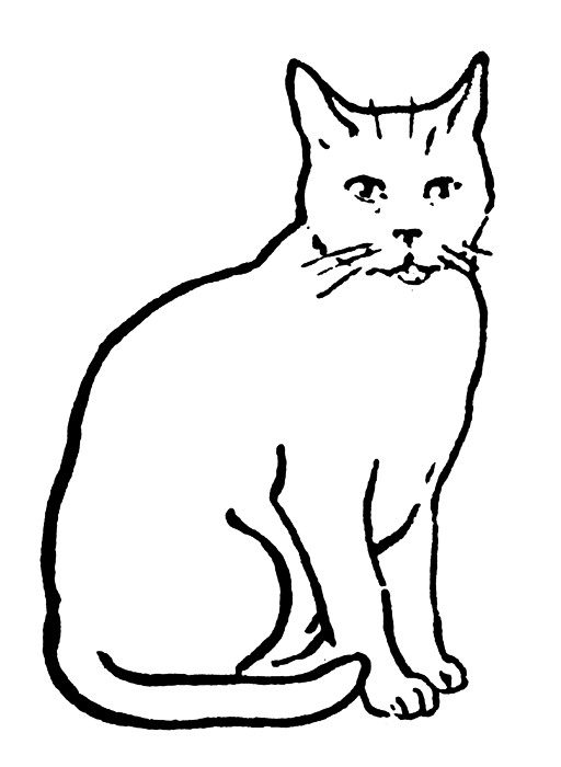 Black and White Cat Coloring Pages cat sat bfree Printable Coloring4free
