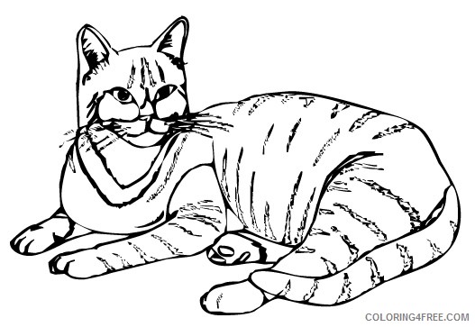Black and White Cat Coloring Pages house cat 2 jpg Printable Coloring4free