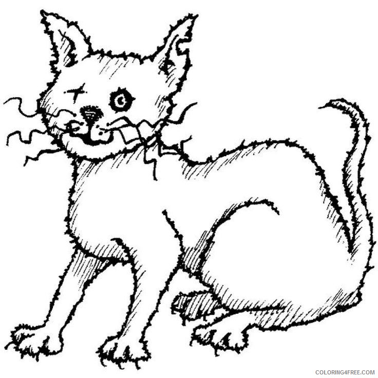 Black and White Cat Coloring Pages scary cat cats pinterest Printable Coloring4free
