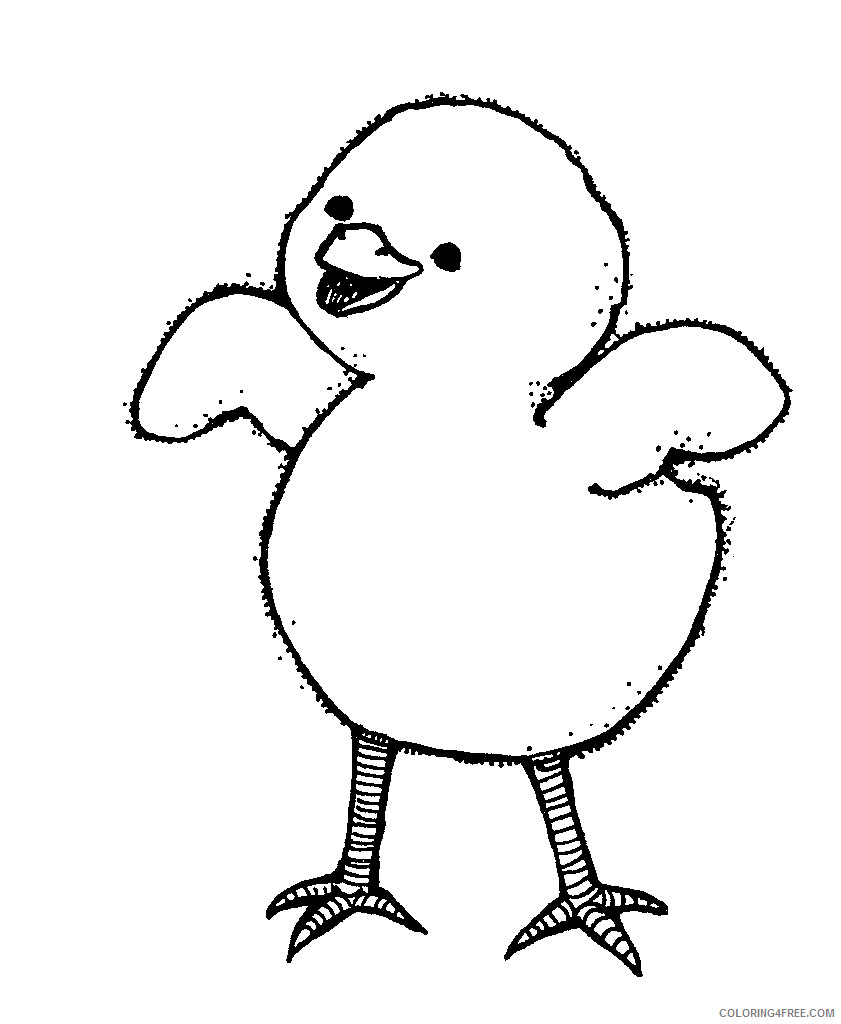 Black and White Chicken Coloring Pages Chicken chick vectors Printable Coloring4free