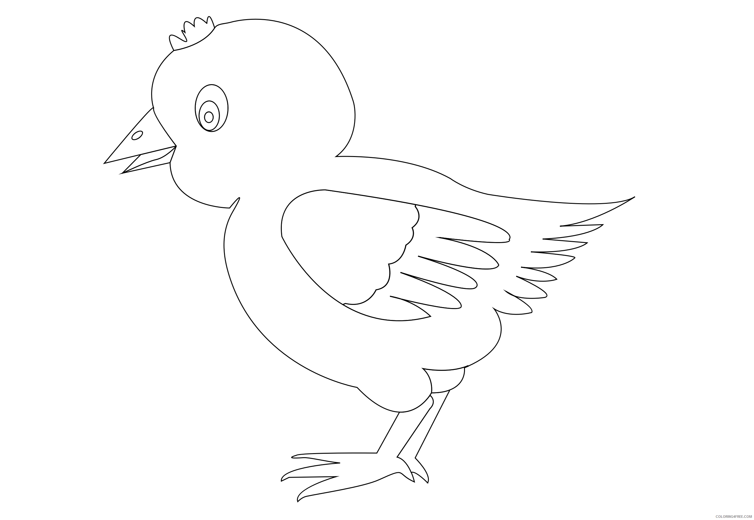 Black and White Chicken Coloring Pages chicken 002 vector Printable Coloring4free